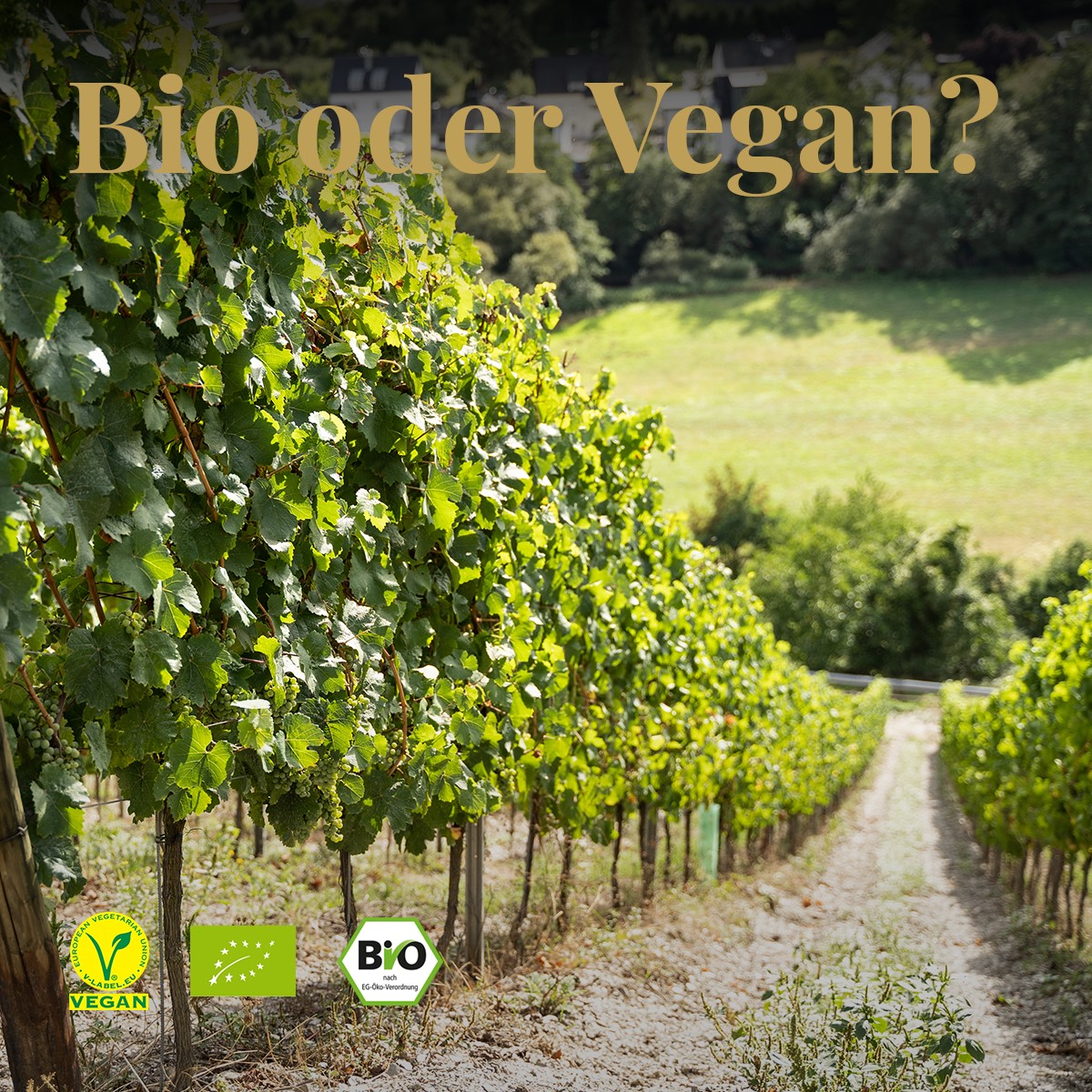 Bio oder Vegan - Kennzeichen - Weingut Hubertushof Lieser