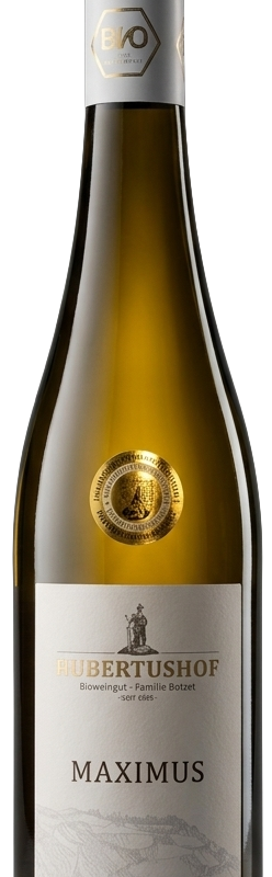 2023er Maximus Riesling Kabinett trocken